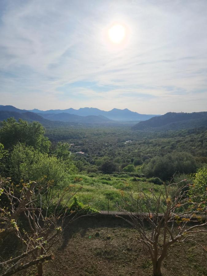 Casa Maestracci Bed & Breakfast Zilia